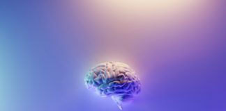 Aivoverenvuodon ennuste ei ole sama kaikilla – tutkimus paljasti ratkaisevan eron